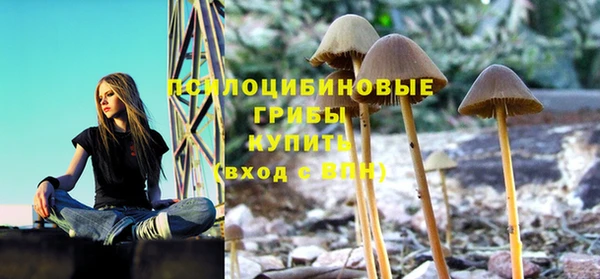 твердый Абдулино