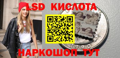 прущие грибы Рузаевка